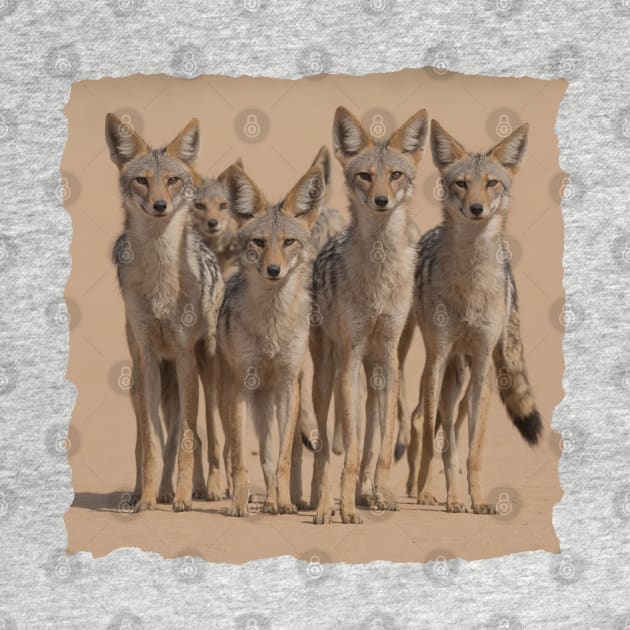 Pack of Jackals by JacCal Brothers